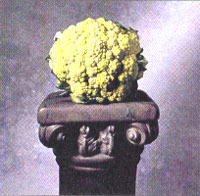 
What do you get when you combine broccoli and cauliflower? A nutritional powerhouse that even kids love.
